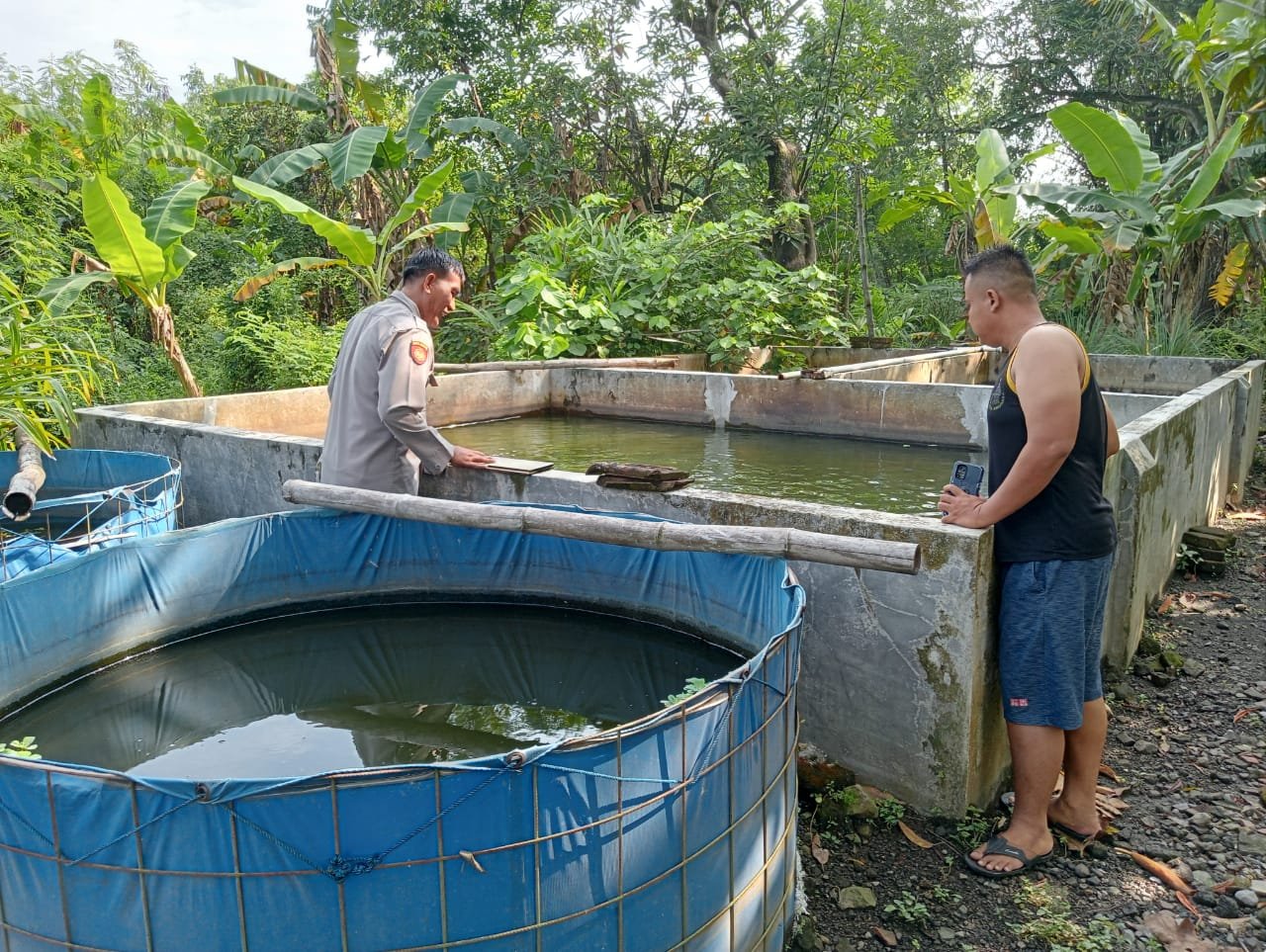 Polsek Tulangan Dukung Program Ketahanan Pangan Melalui Peternakan Ikan Lele