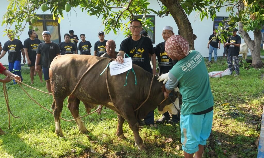 Semangat Berbagi di Iduladha, UHT Libatkan Mahasiswa dan Dosen dalam Kurban 2026